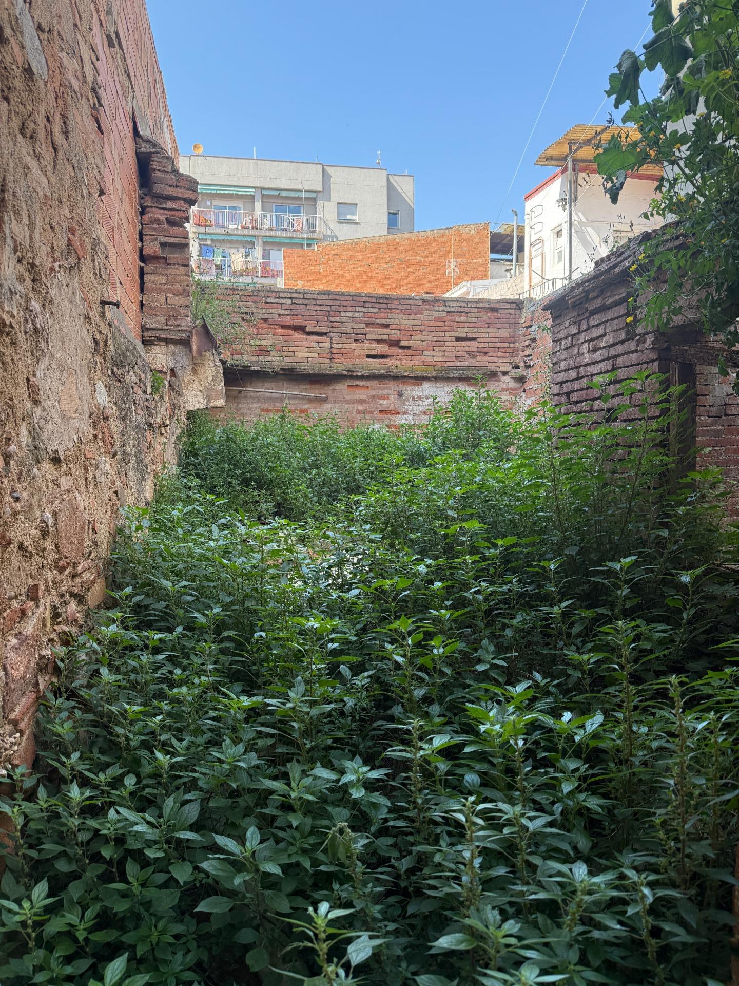 Foto 5 de EIXAMPLE - CASA PER REFORMAR SITUADA EN UN ENTORN IMMILLORABLE!!!